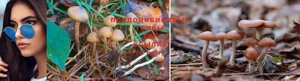 кокаин премиум Балахна