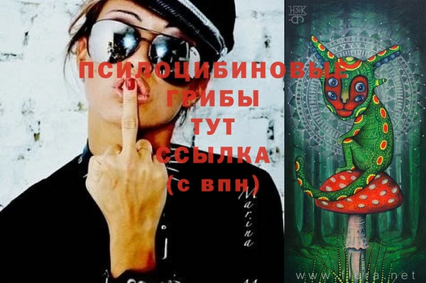 мдпв Нязепетровск