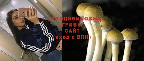 ALPHA PVP Баксан