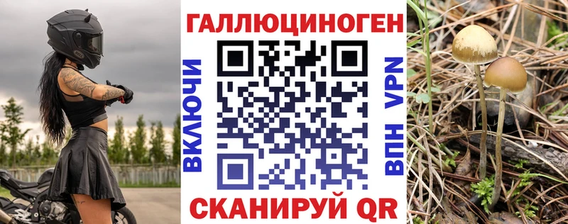 Галлюциногенные грибы мицелий  Купить закладки  Иваново 